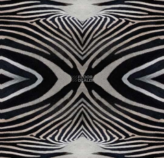 Flotex Vision Image 000402 Zebra фото 1 | FLOORDEALER